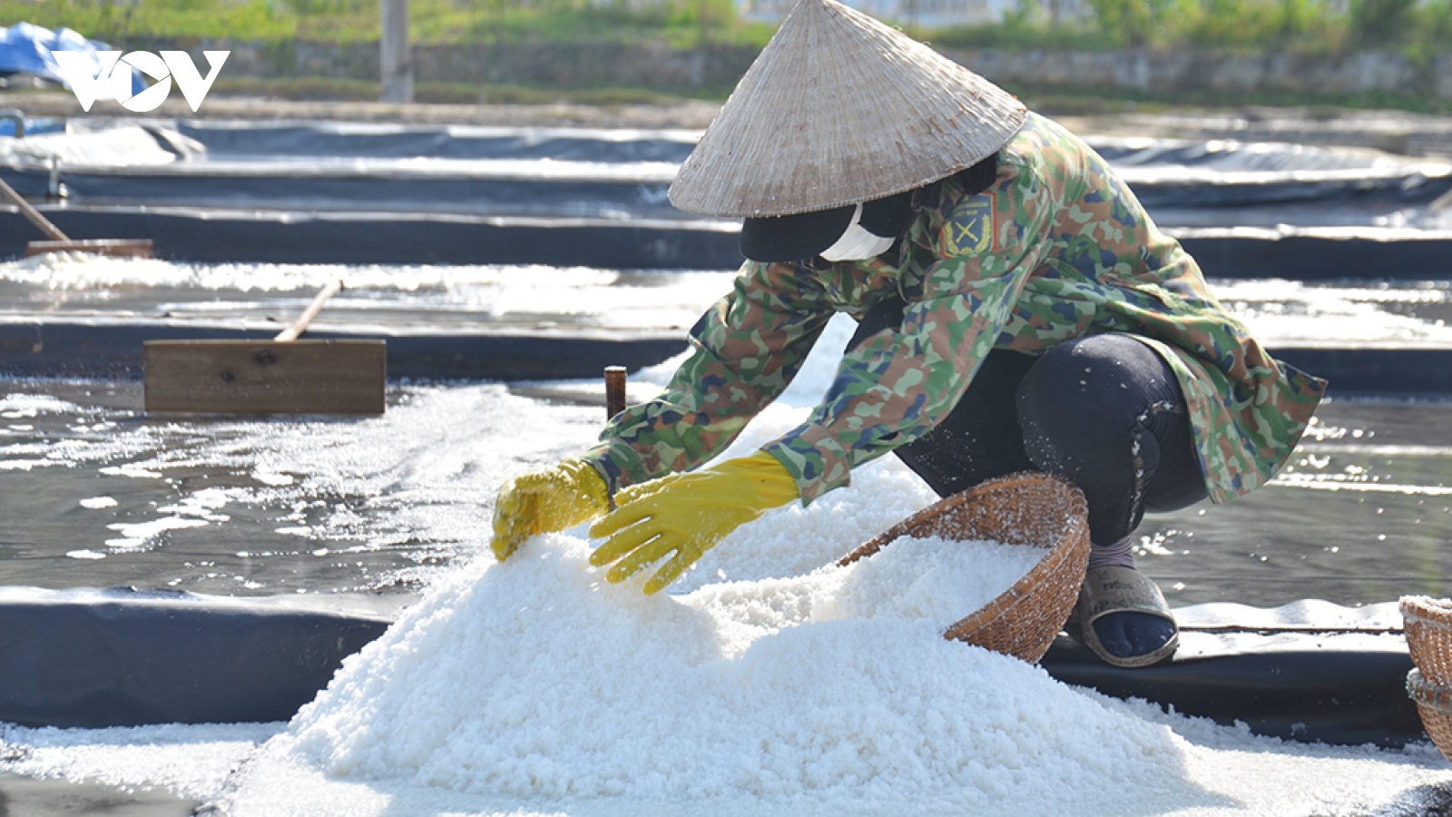 Nghề làm Muối Sa Huỳnh được công nhận Di sản Văn hóa phi vật thể quốc gia