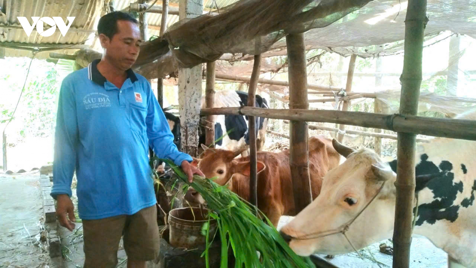 Sự chuyển mình ở vùng đồng bào dân tộc thiểu số tỉnh Sóc Trăng