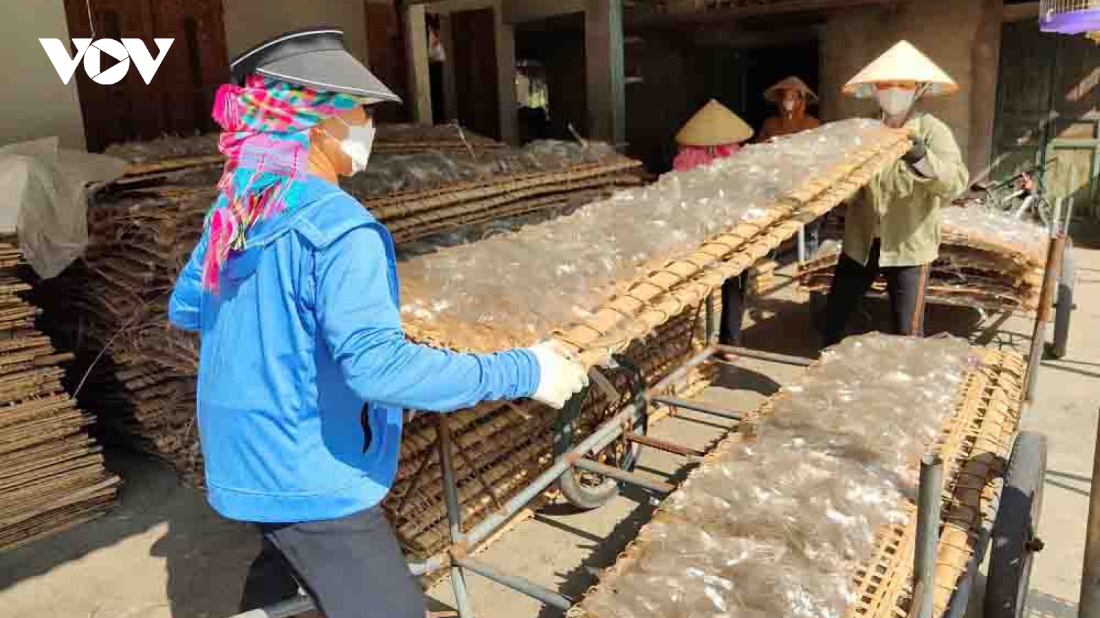 Làng miến Bình Lư hối hả vào vụ Tết