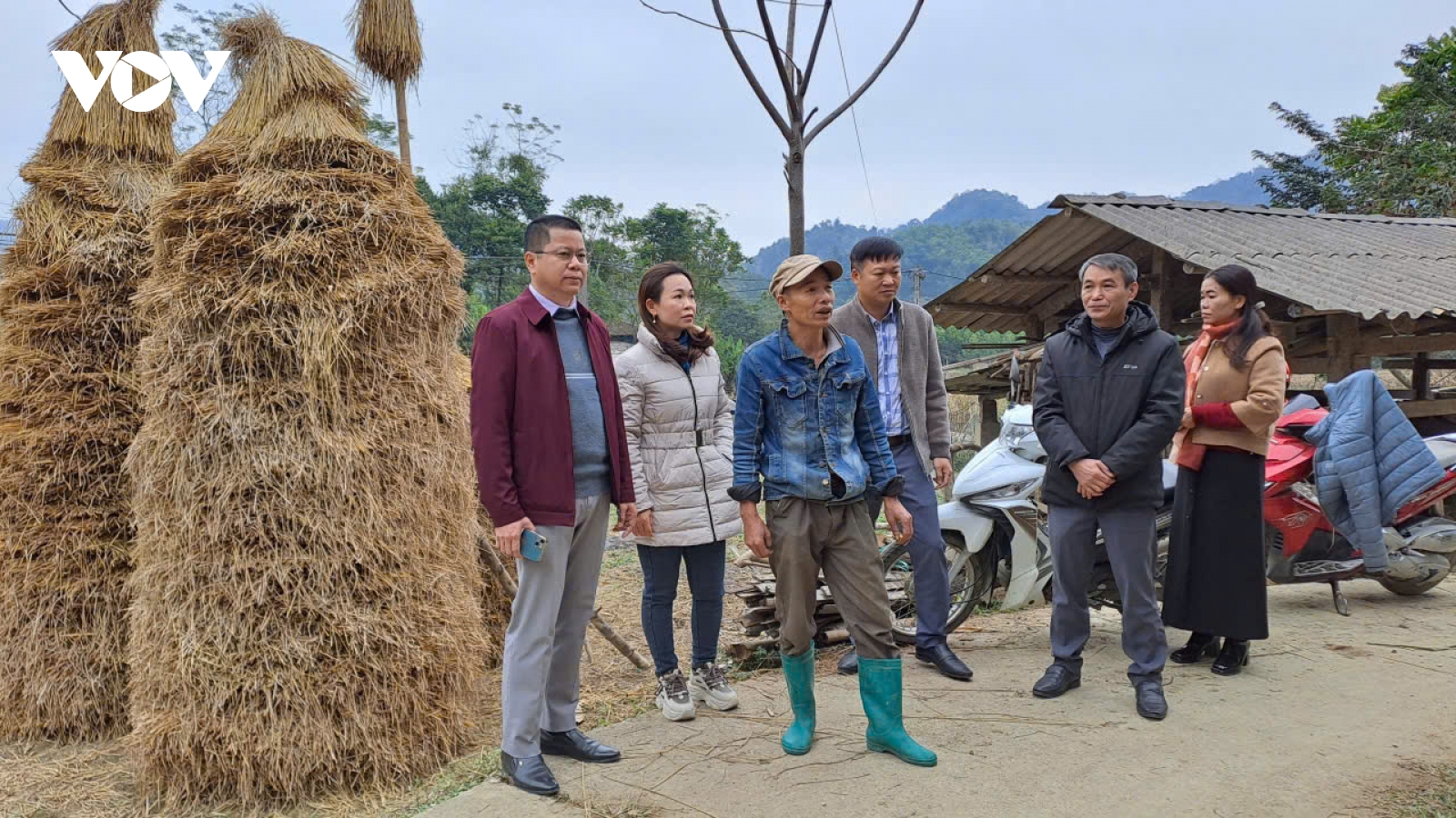 Bắc Kạn đối phó với thời tiết rét đậm, rét hại