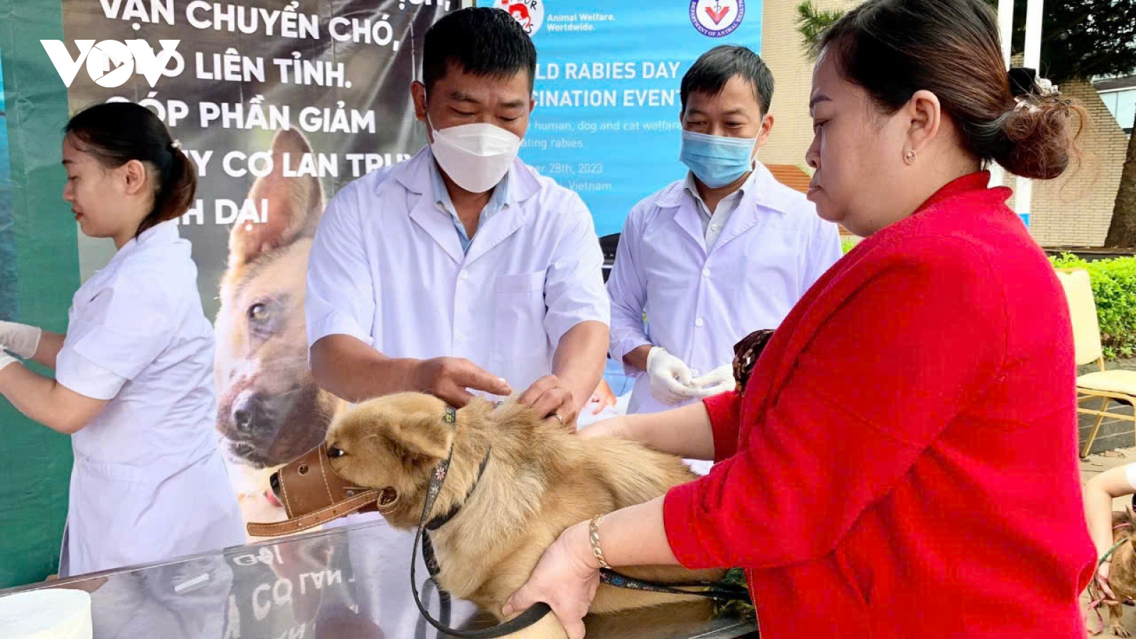 Liên tiếp 2 trường hợp tử vong do bệnh dại ở Gia Lai