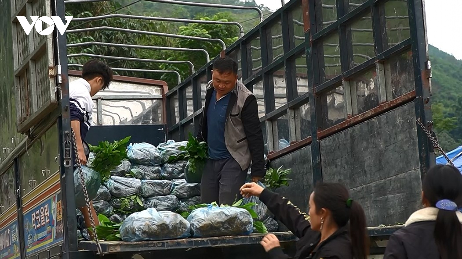 Mô hình sinh kế bền vững, góp phần xóa nghèo ở vùng khó Lào Cai