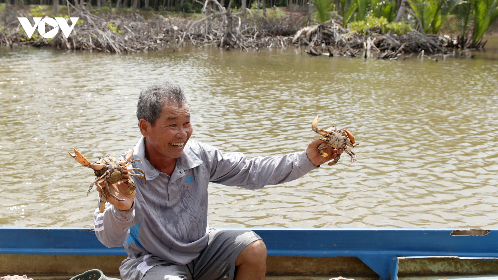 Mô hình rừng - thủy sản giúp nông dân ven biển Trà Vinh có thu nhập ổn định