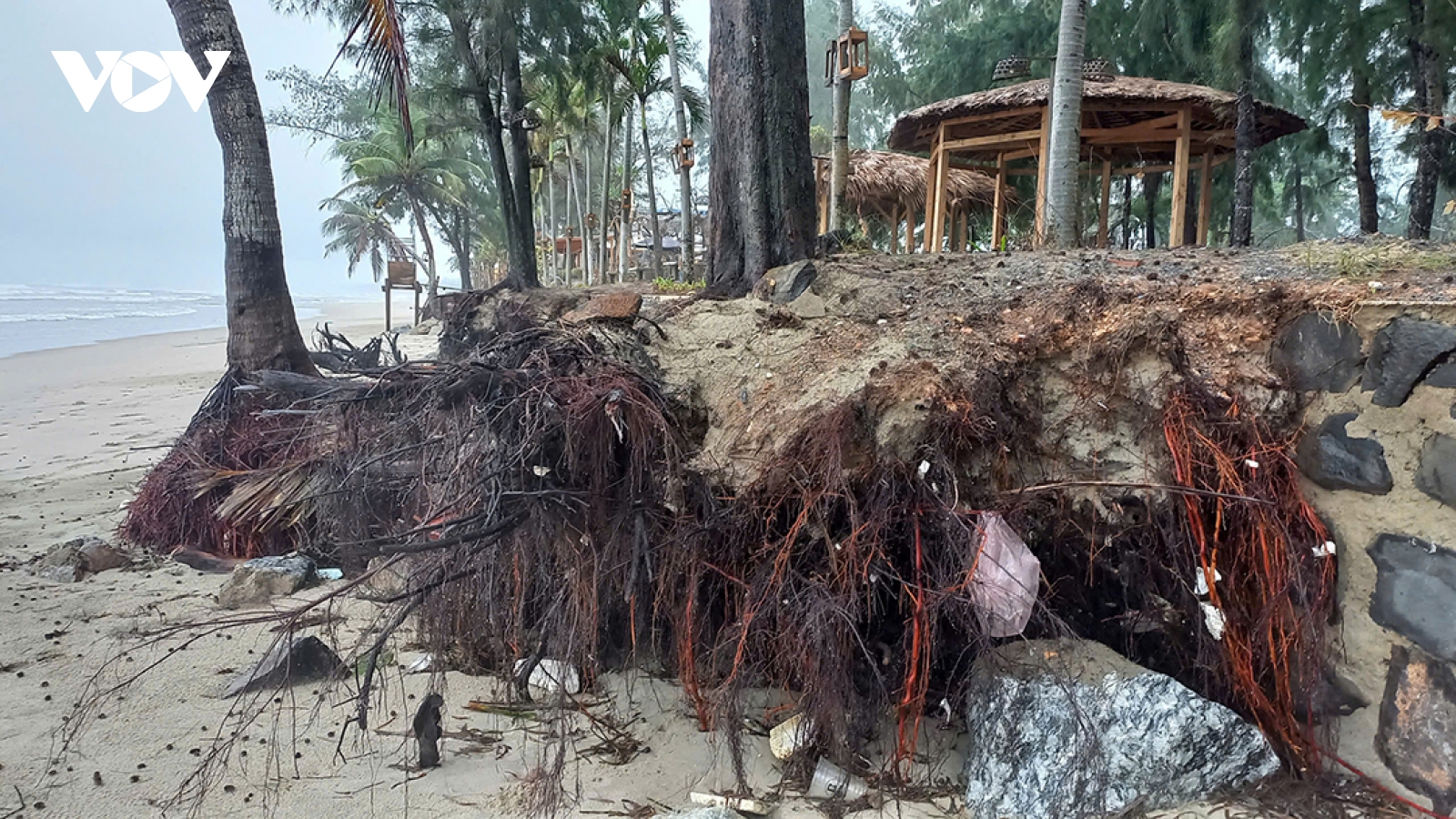 Sạt lở nghiêm trọng tại bờ biển Mỹ Khê, Quảng Ngãi