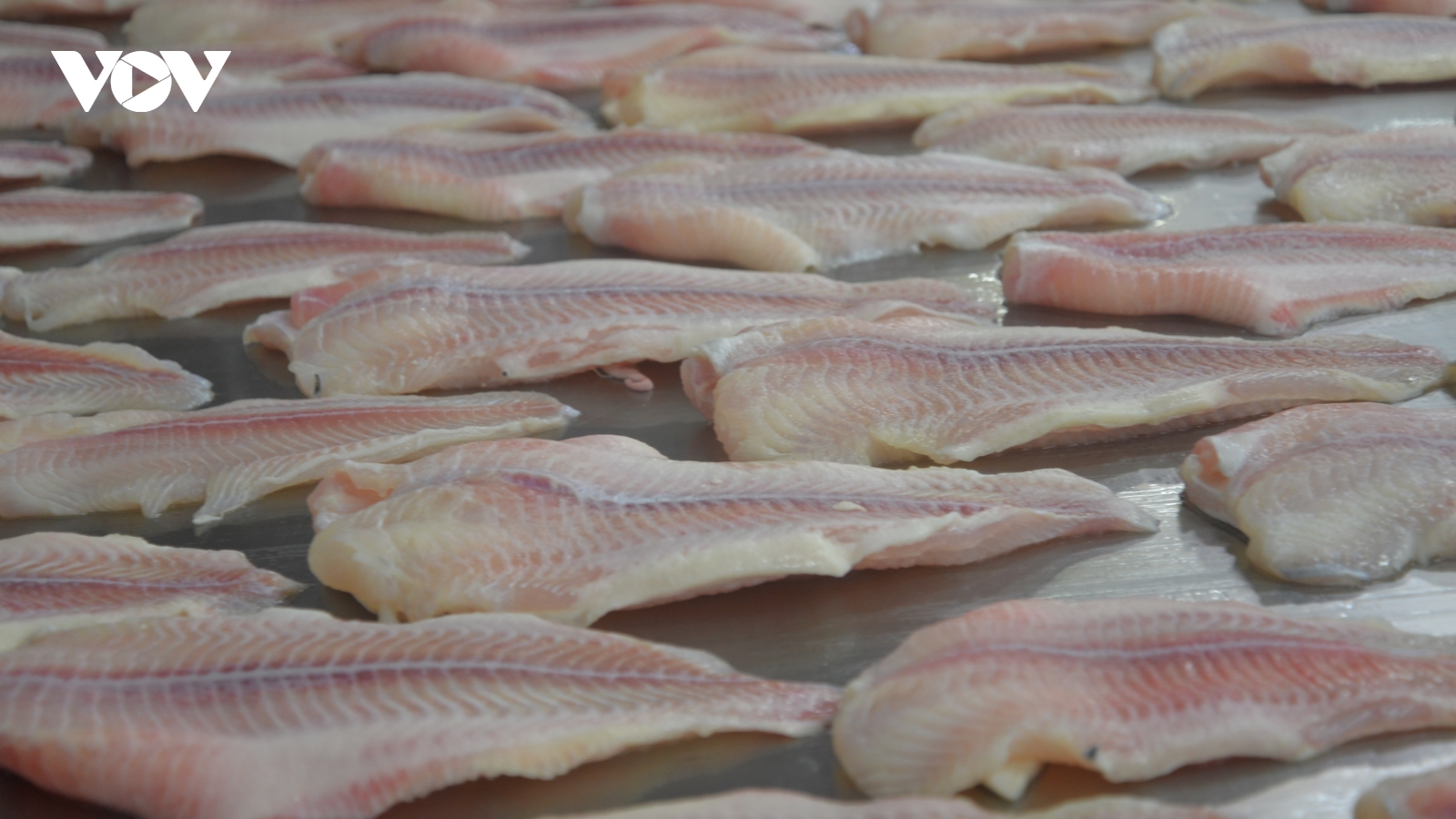 Nhiều cơ hội cho thủy sản Việt Nam tại thị trường Halal