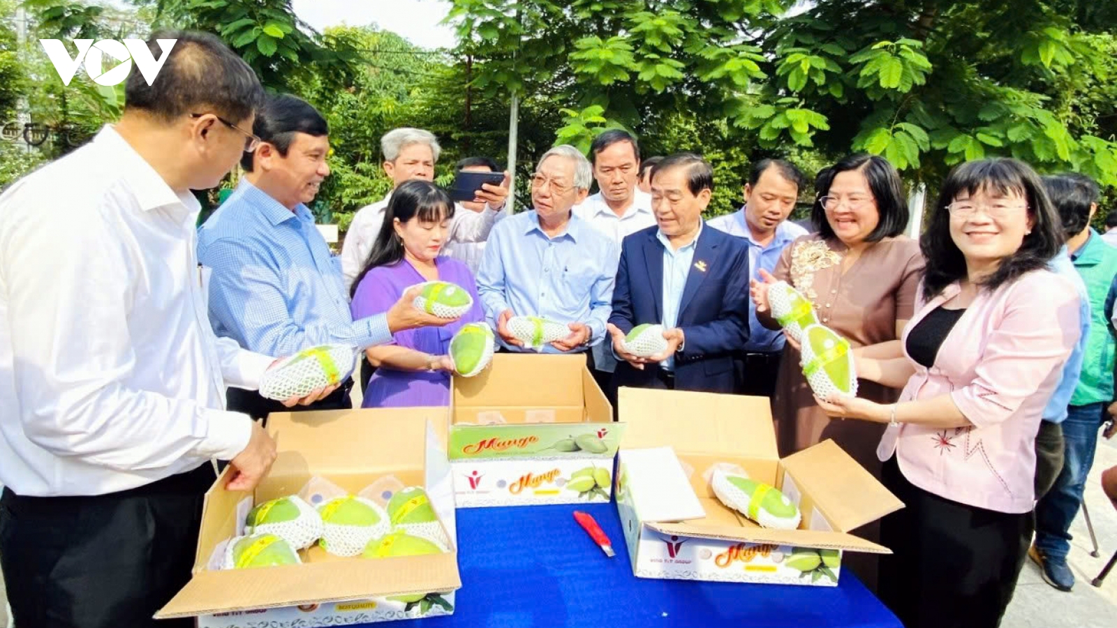 Cấu trúc lại ngành hàng: Nông dân, doanh nghiệp song hành phát triển