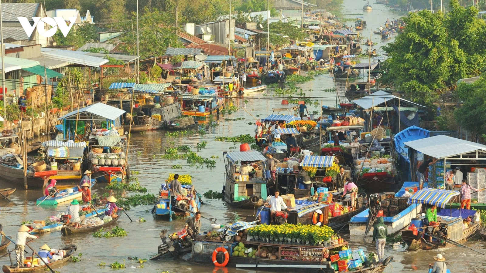 Tết thương hồ “gạo chợ nước sông”