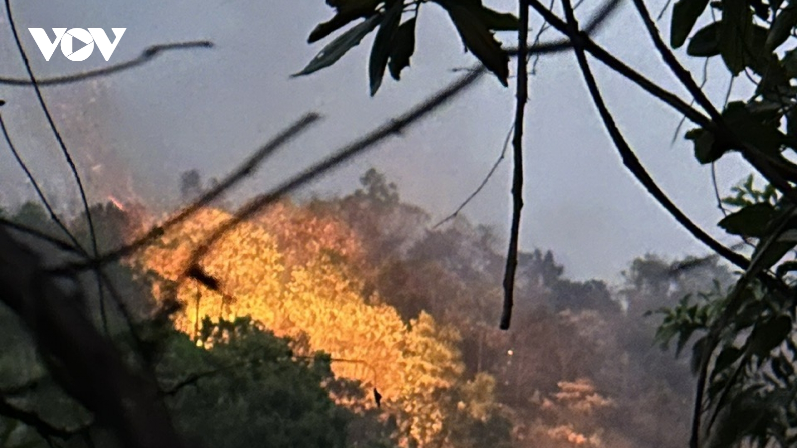 Bắc Kạn: Hơn 20ha rừng bị ảnh hưởng do cháy lớn