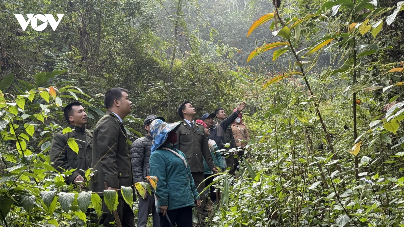 Giữ màu xanh nơi đại ngàn biên giới