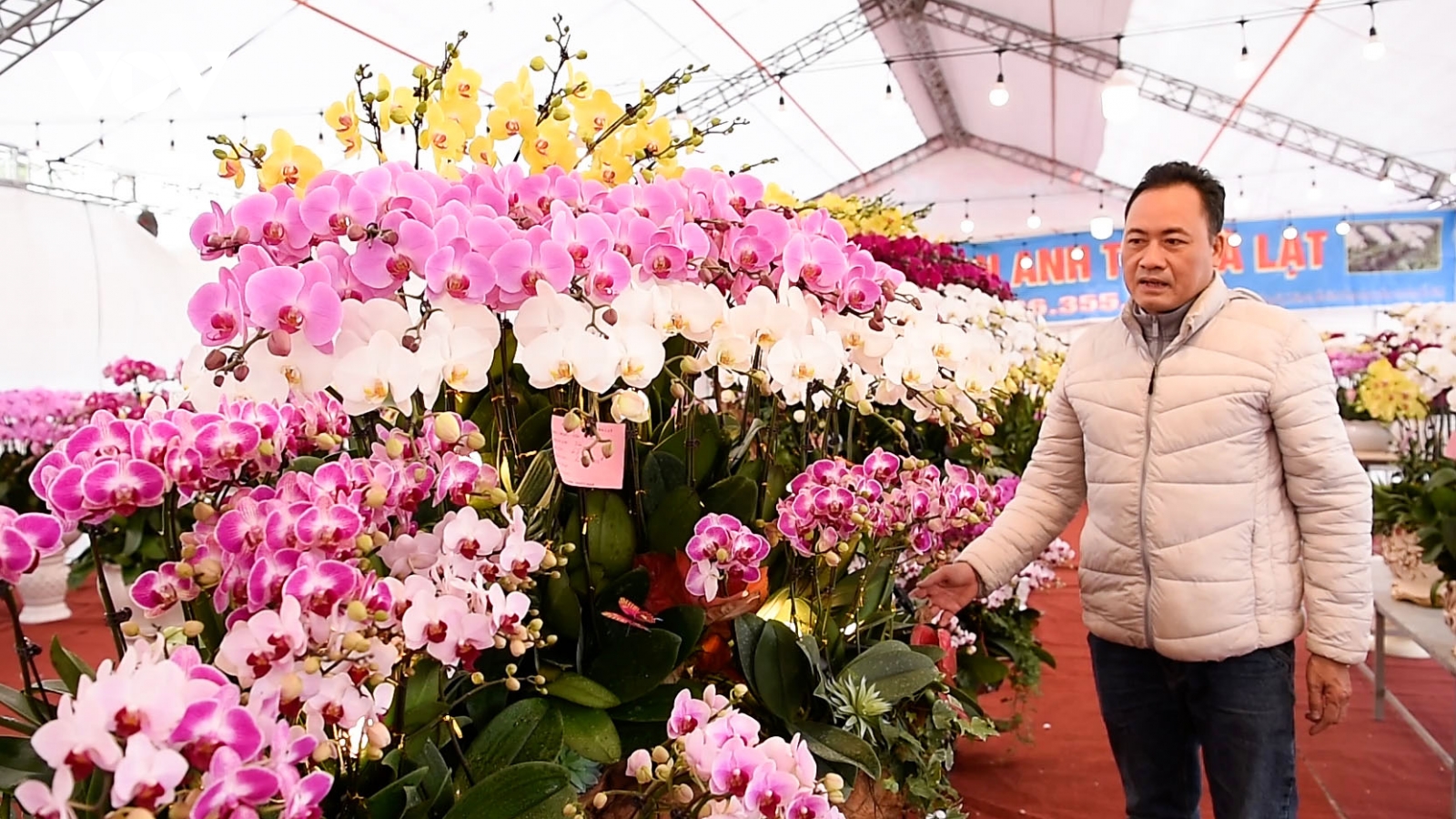 Thị trường hoa, cây cảnh Tết ở Bắc Ninh thấp thỏm ngóng khách