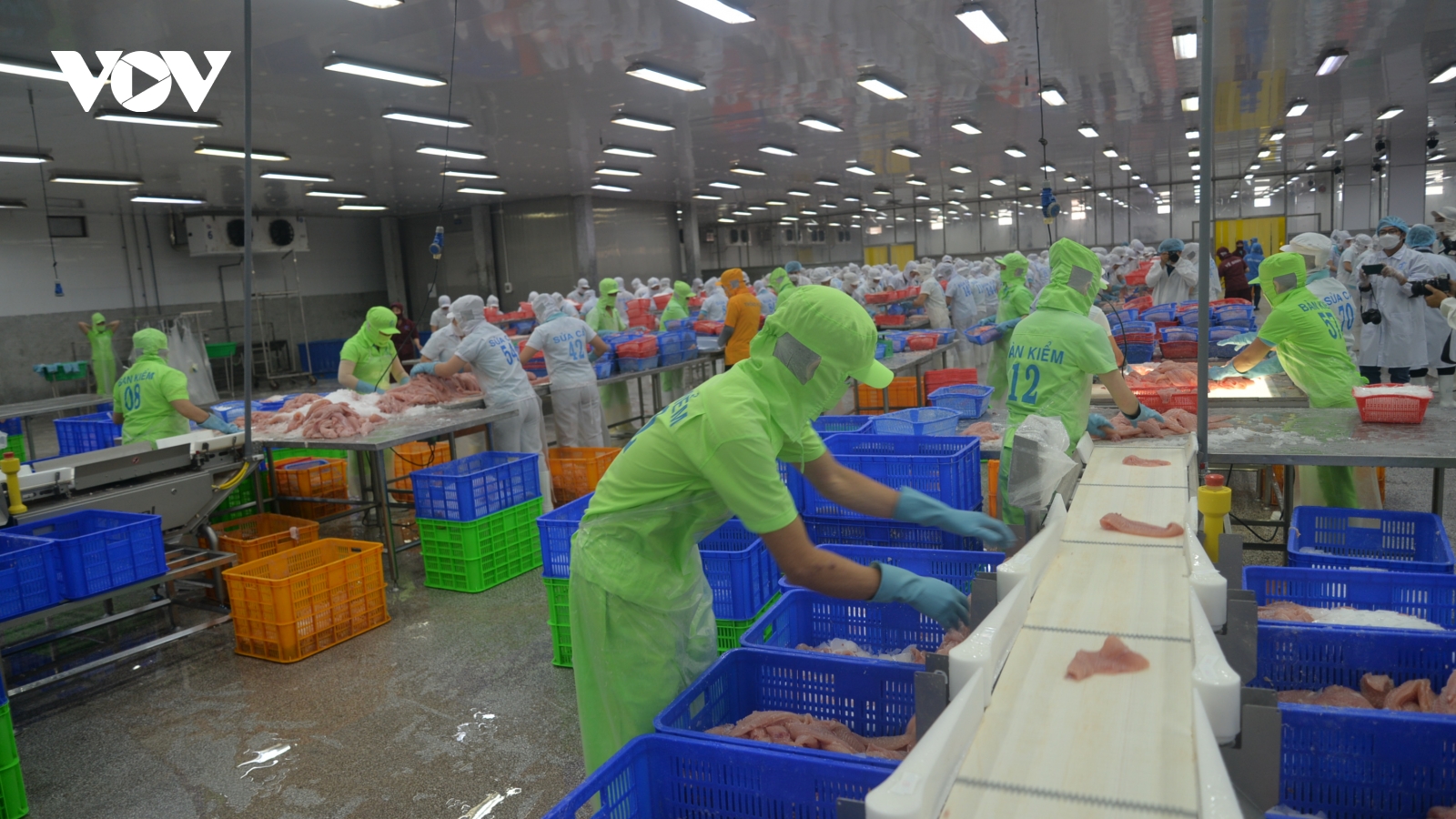 Đồng Tháp phấn đấu kim ngạch xuất khẩu năm 2025 đạt 2,1 tỷ USD