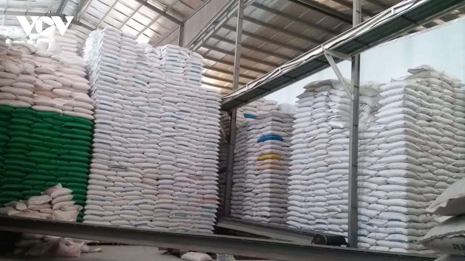 Vì sao nhiều doanh nghiệp kinh doanh lúa gạo ở Tiền Giang “xả hàng” ?