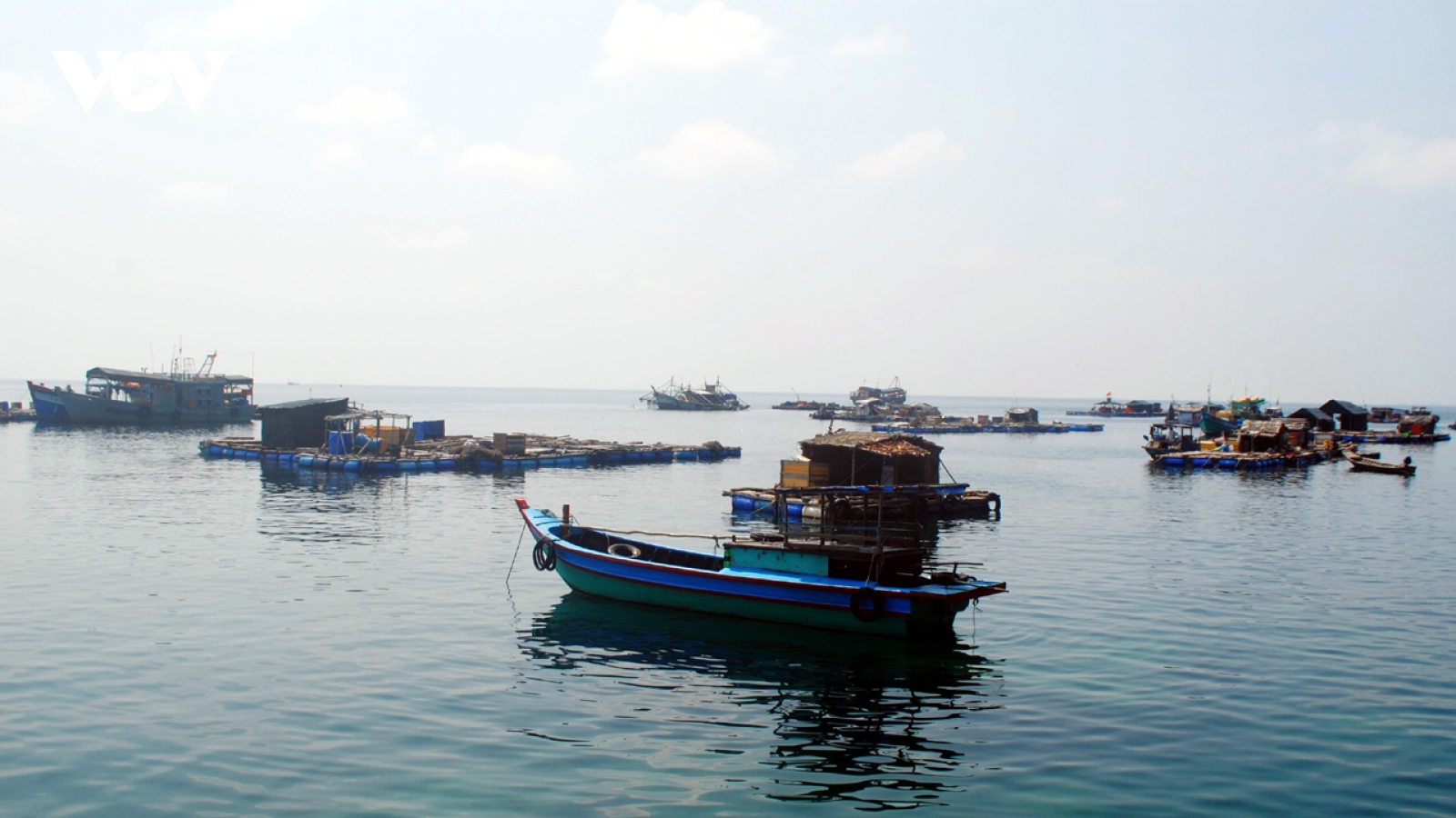 Nhọc nhằn nghề nuôi cá bớp ở đảo Hòn Chuối (Cà Mau)