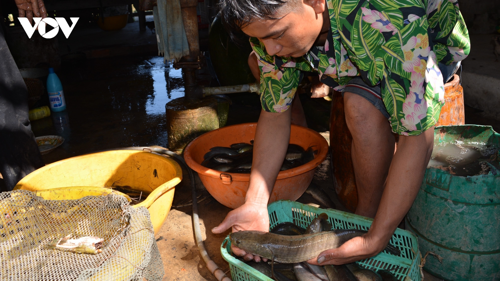 Treo thưởng 3 triệu đồng cho người tố giác vi phạm tận diệt thủy sản