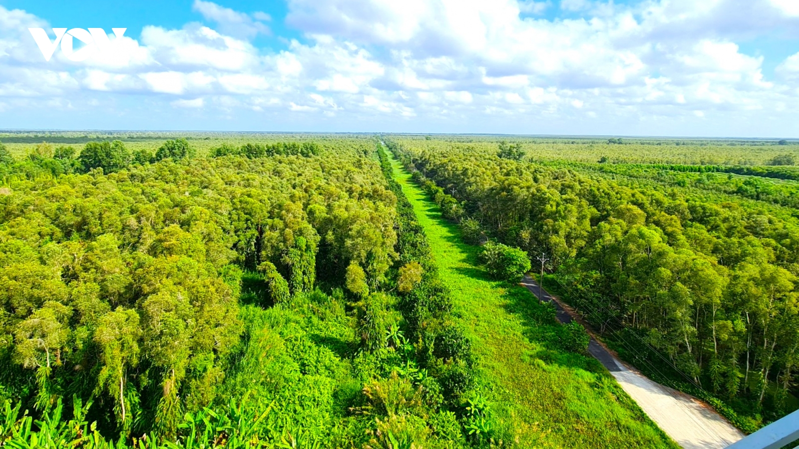 Cà Mau đóng kín cửa rừng, giữ nước phòng chống cháy rừng