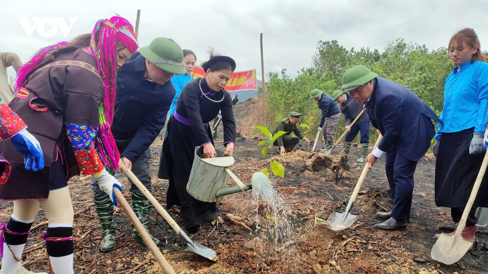 Nhiều địa phương phát động Tết trồng cây đời đời nhớ ơn Bác Hồ