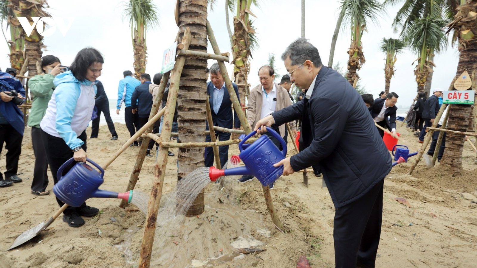 Trồng thêm 175 cây dừa dọc bãi biển du lịch Đà Nẵng