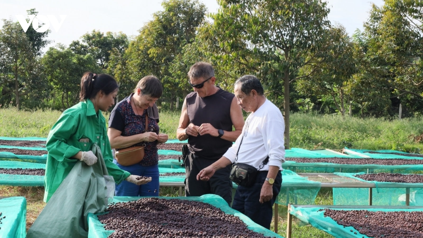 Chế biến sâu - câu chuyện nâng tầm giá trị cà phê