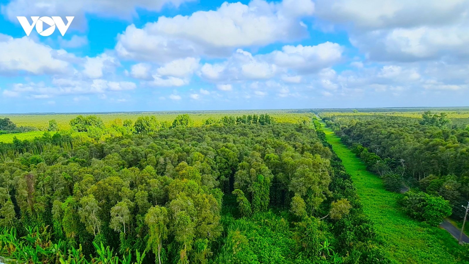 Cà Mau tăng cường công tác bảo vệ rừng tràm sau vụ cháy