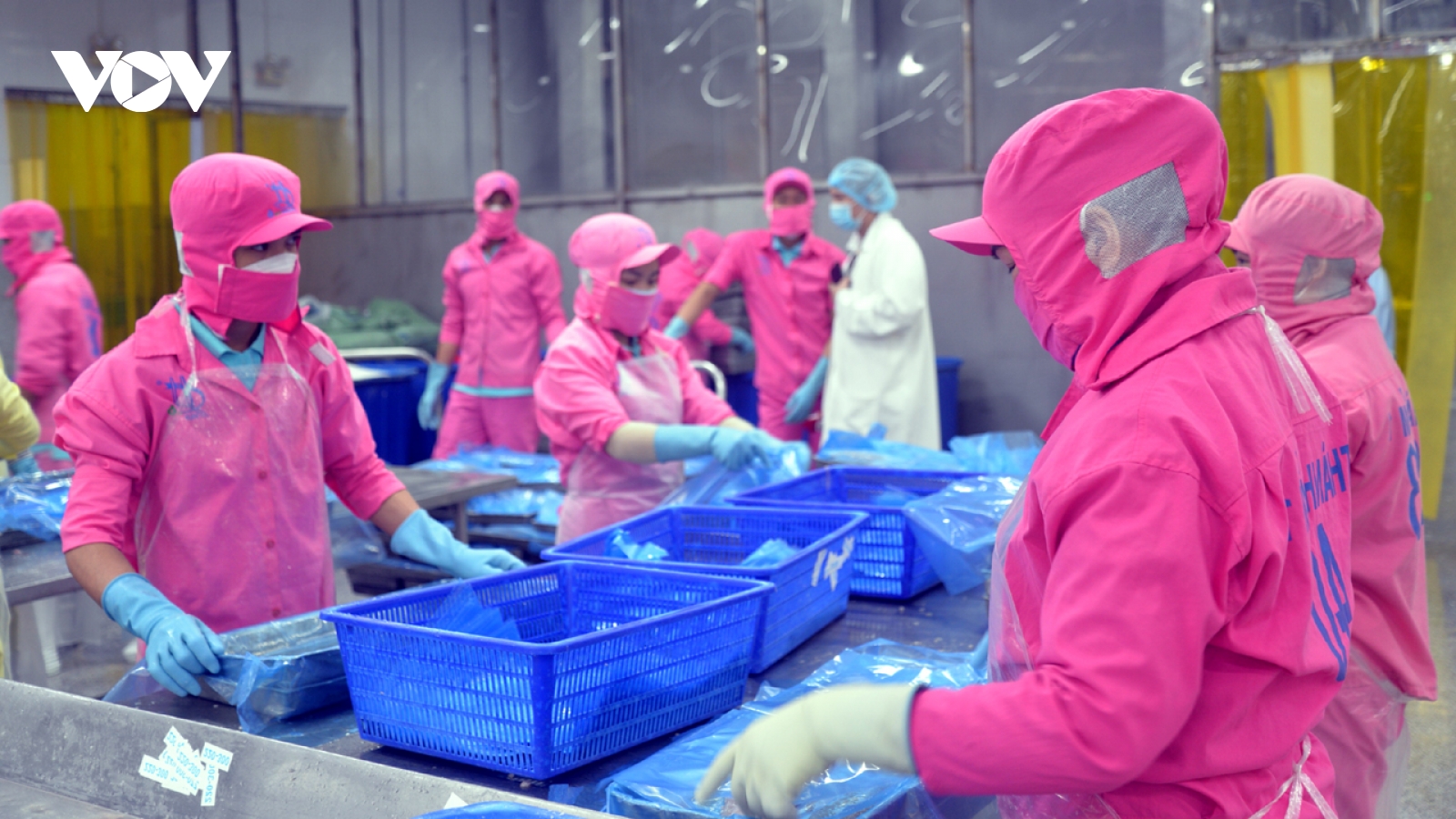 DN Việt chủ động ứng phó với những chính sách mới từ các thị trường xuất khẩu