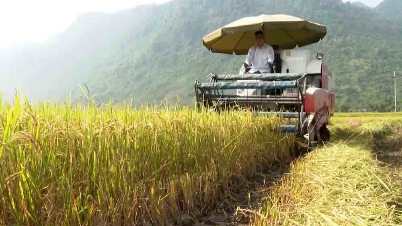 Khoa học kỹ thuật – đòn bẩy cho kinh tế nông nghiệp ở Lai Châu