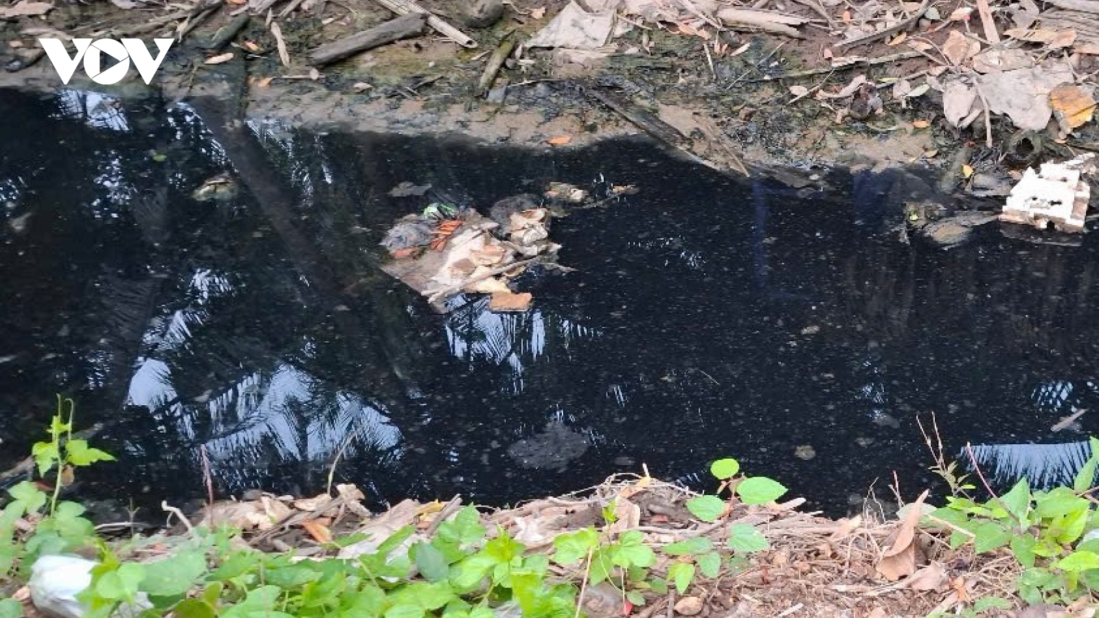 Dân ngoại thành đô thị Mỹ Tho “kêu cứu” trước những dòng kênh đen