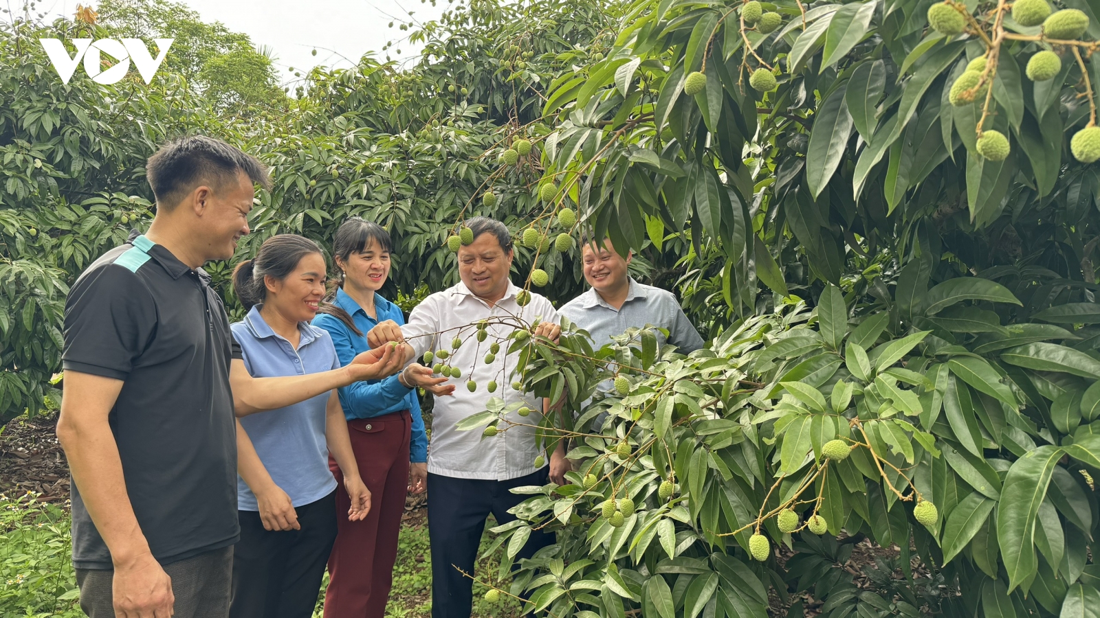 Du lịch nông nghiệp góp phần xây dựng nông thôn mới tại Bắc Giang