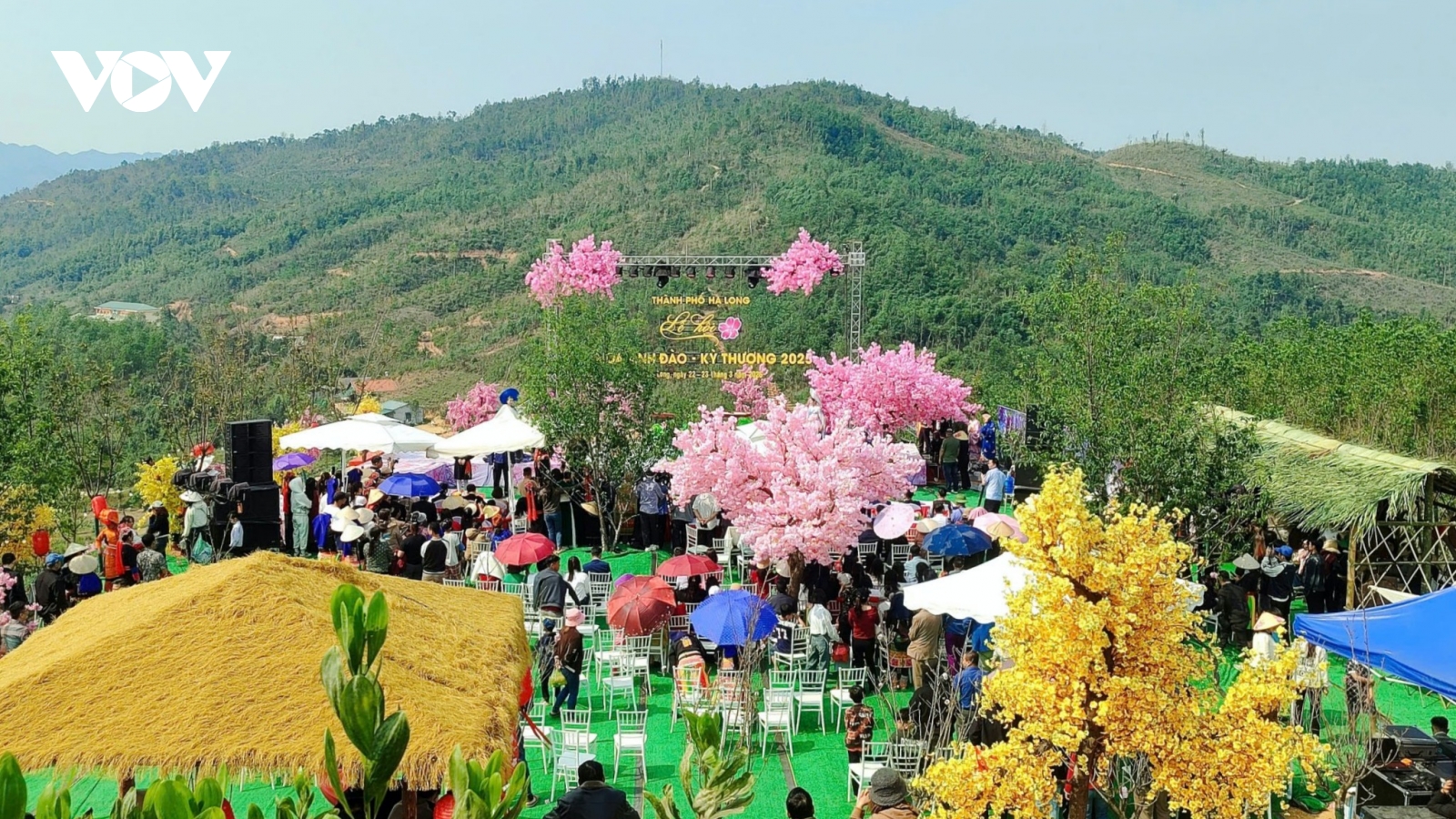 Lễ hội Hoa anh đào lần đầu tiên tổ chức tại xã vùng cao Kỳ Thượng