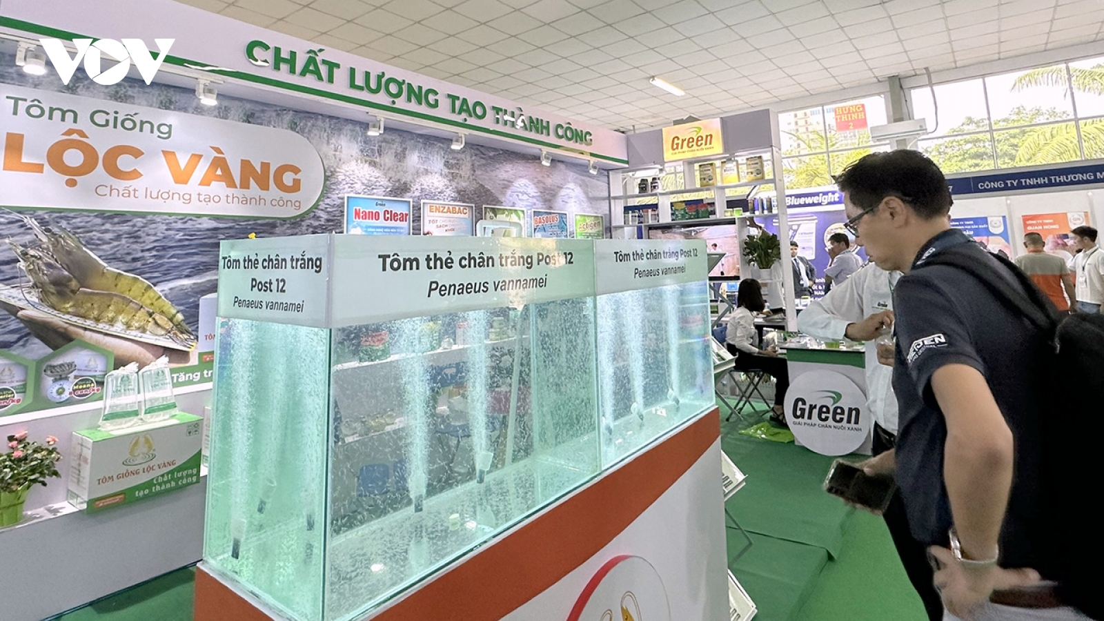 Ngành nuôi tôm đang bước vào giai đoạn cách mạng xanh