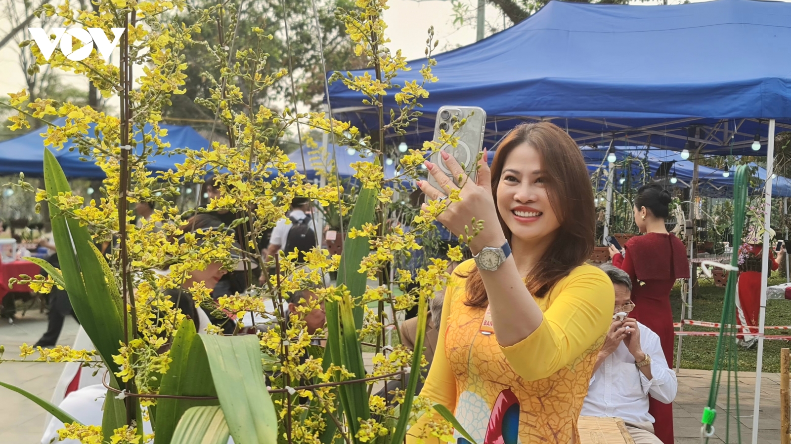 Vẻ đẹp quý phái của lan "Vũ nữ Mật ngọt" giành giải nhất tại Lễ hội Đền Hùng 2025