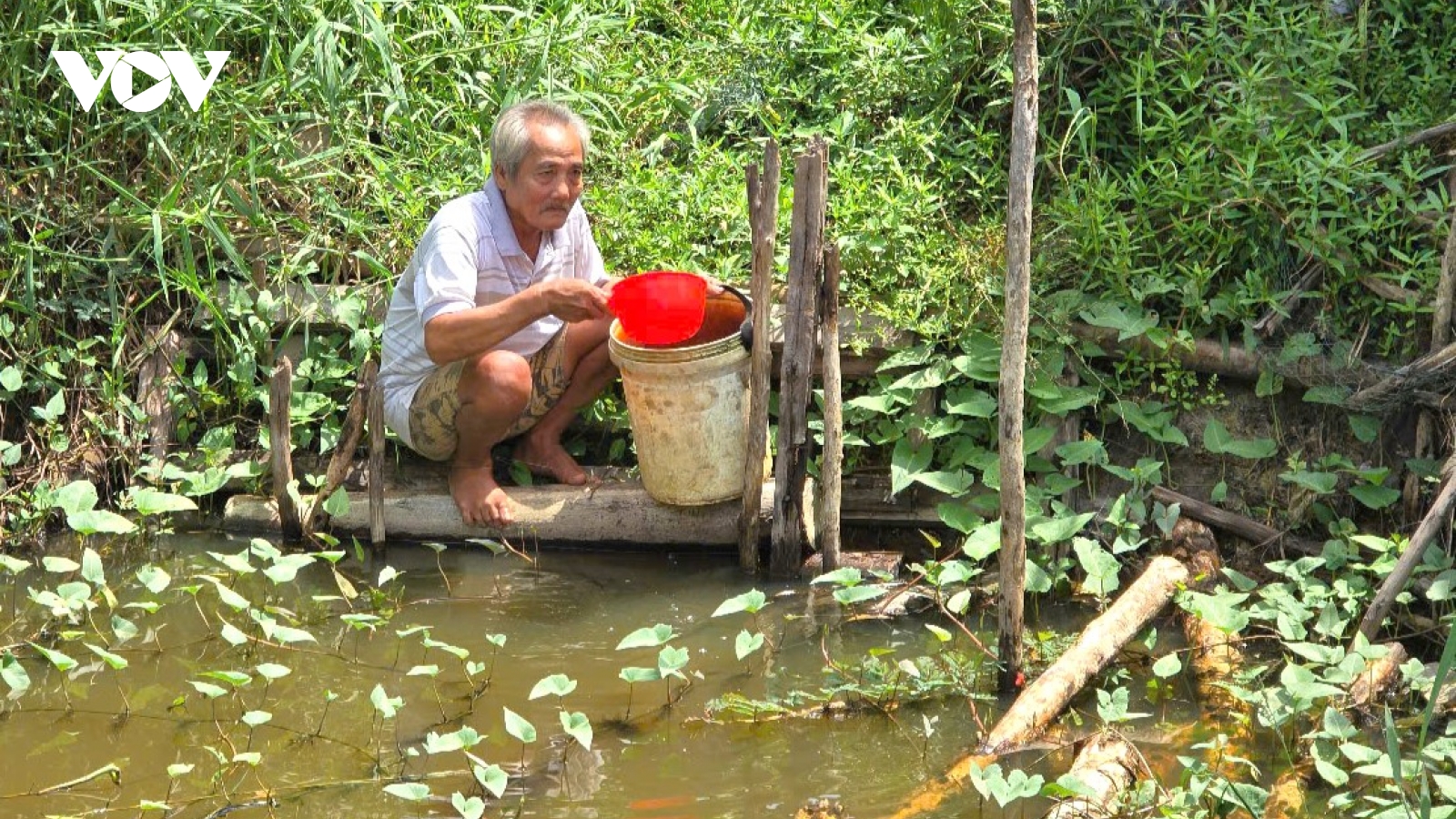 Hàng trăm hộ dân U Minh (Cà Mau) thiếu nước trong mùa khô