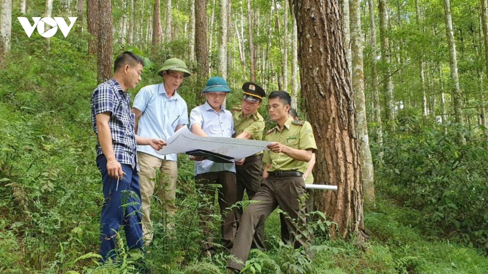 Yên Bái phòng chống cháy rừng cao điểm mùa khô hanh