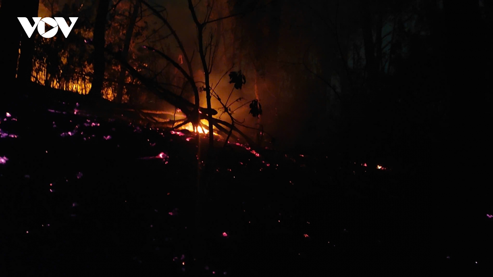 Hải Phòng dập tắt vụ cháy rừng trên núi Cột Cờ