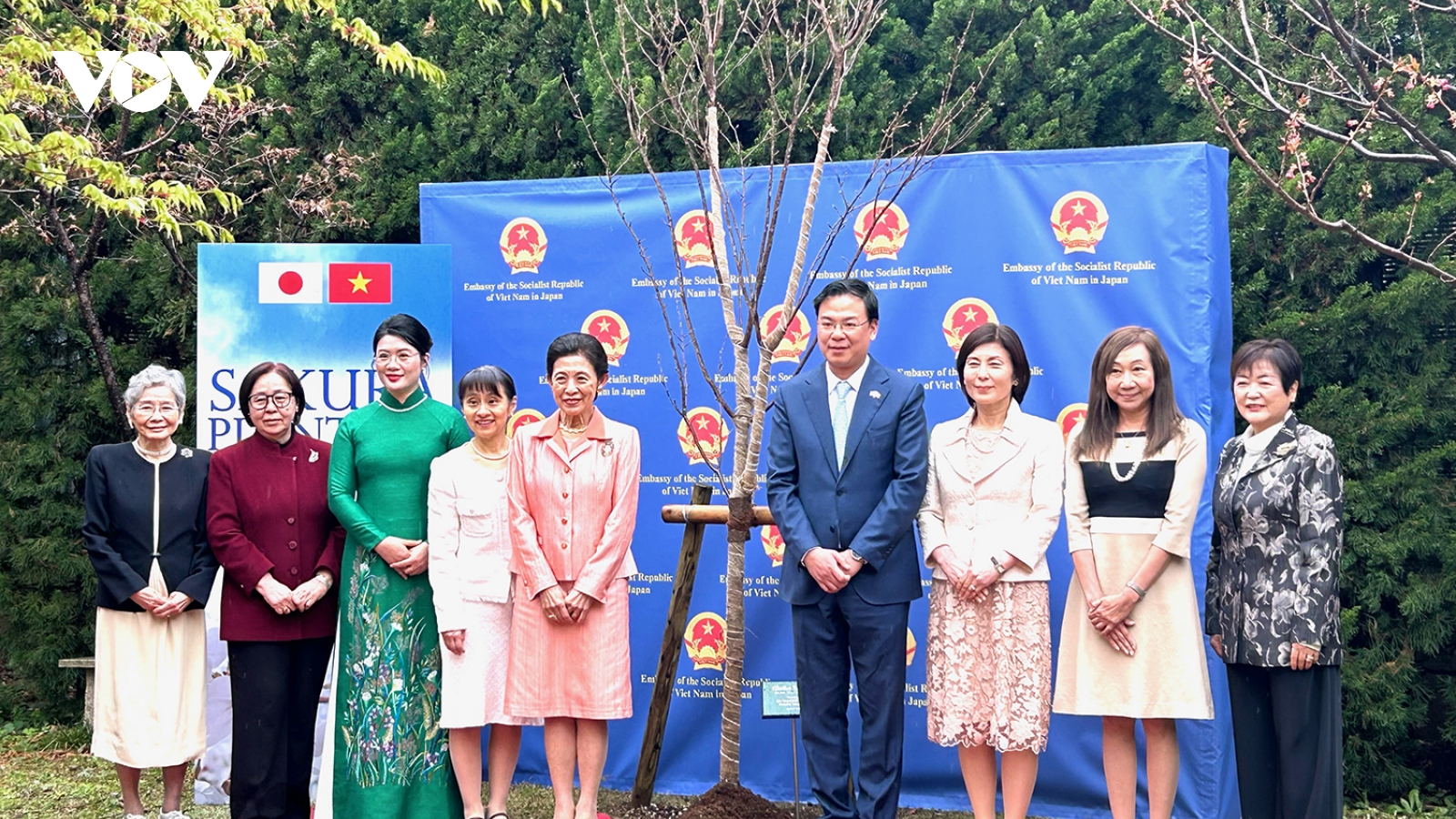 Công chúa Nhật Bản trồng hoa anh đào trong khuôn viên Đại sứ quán Việt Nam