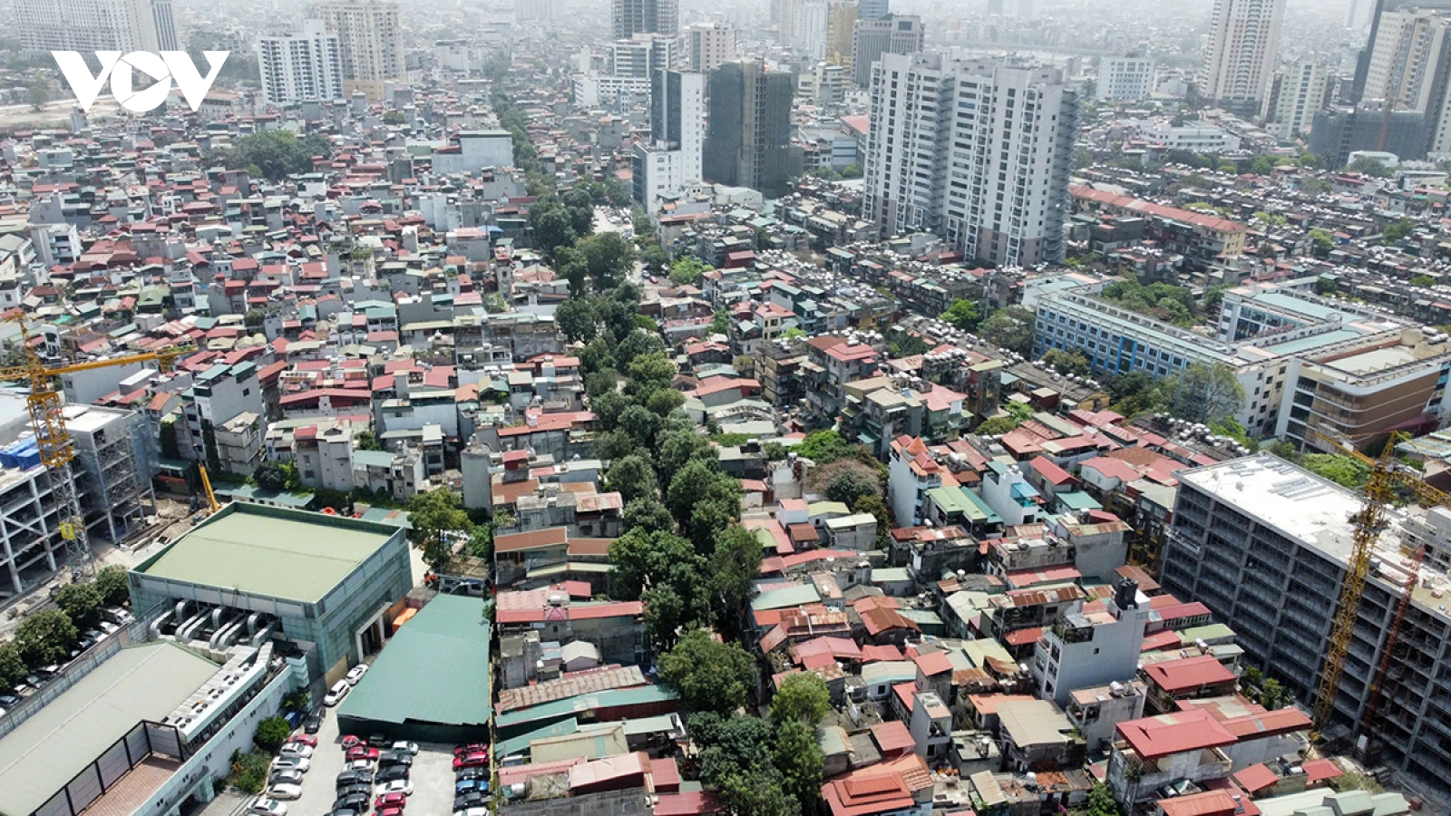 Hàng trăm cây xanh cổ thụ sẽ bị đánh chuyển để mở đường vành đai 1 ở Hà Nội