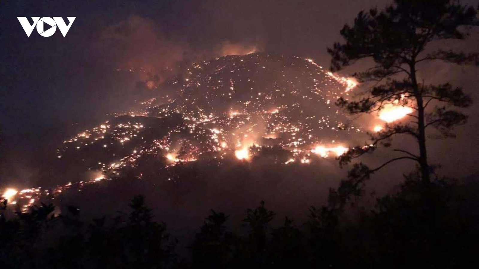 Phó Thủ tướng chỉ đạo tập trung khắc phục hậu quả do cháy rừng tại Quảng Ninh