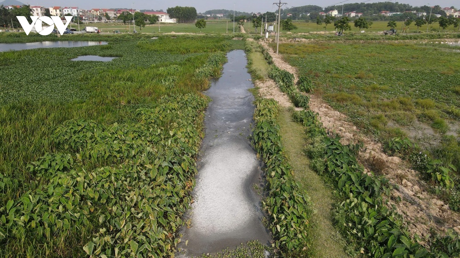 Chấm dứt hoạt động gây ô nhiễm môi trường tại làng nghề bún Khắc Niệm, Bắc Ninh