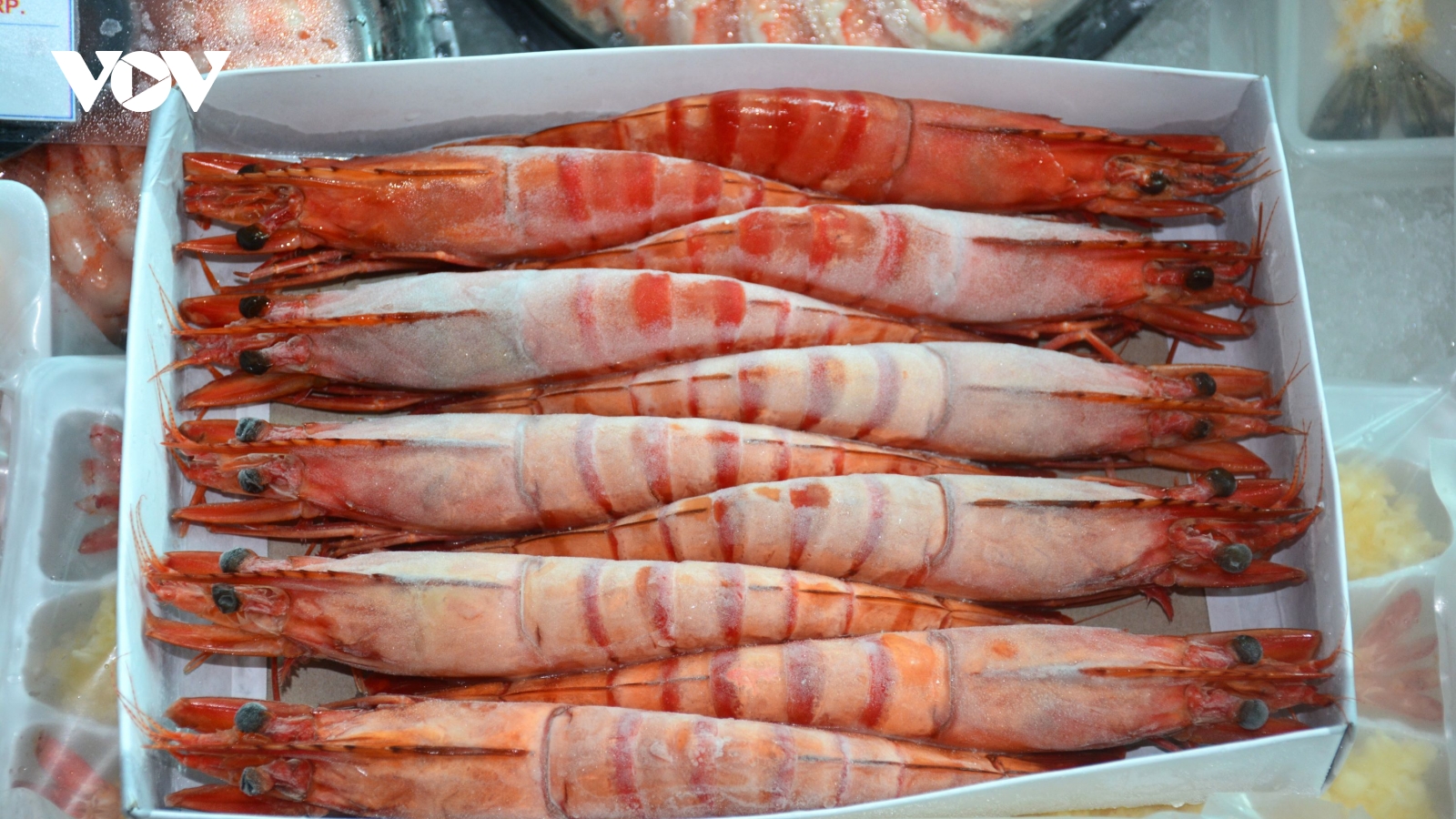 Cà Mau kêu gọi người dân bình tĩnh, doanh nghiệp chung tay giữ giá tôm