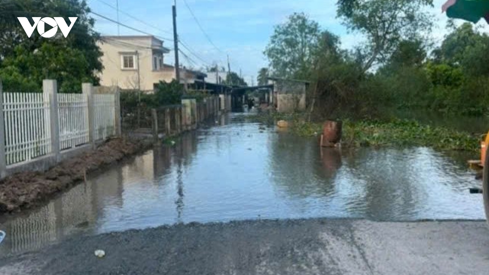 Triều cường ở Bến Tre cao nhất trong nhiều năm qua, huyện Chợ Lách bị thiệt hại