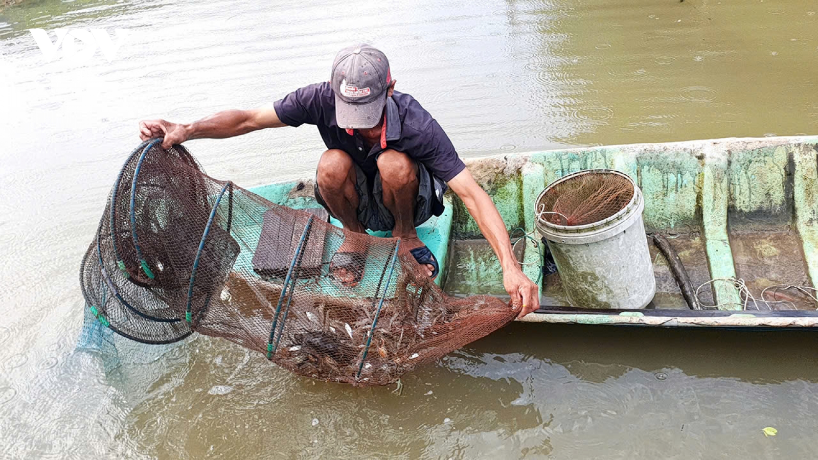 Không để đứt gãy chuỗi sản xuất tôm ở Cà Mau trước thuế mới của Mỹ