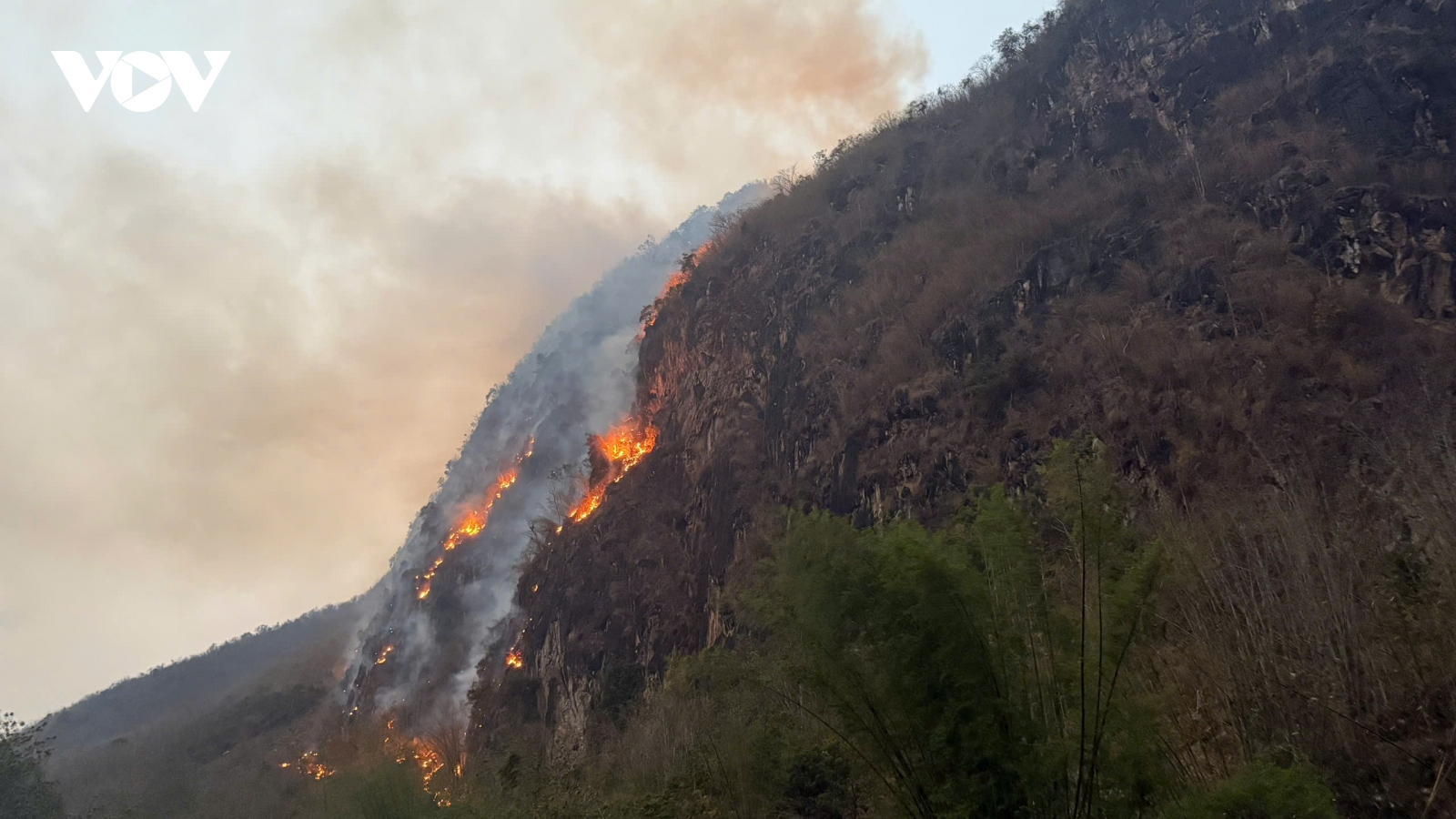 Hơn 300 người nỗ lực khống chế cháy rừng lau, lách ở Sơn La