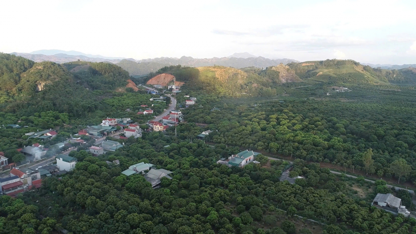 10 năm cây ăn quả phủ xanh đất dốc Sơn La