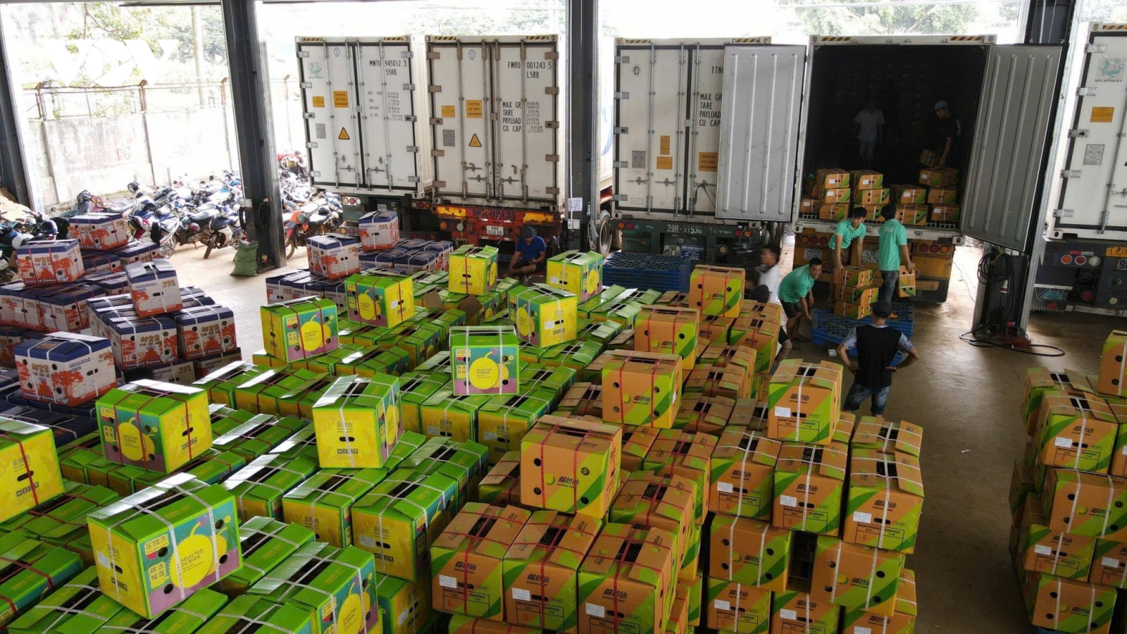 Đắk Lắk xác định nâng cao chất lượng nông sản để phát triển nông nghiệp