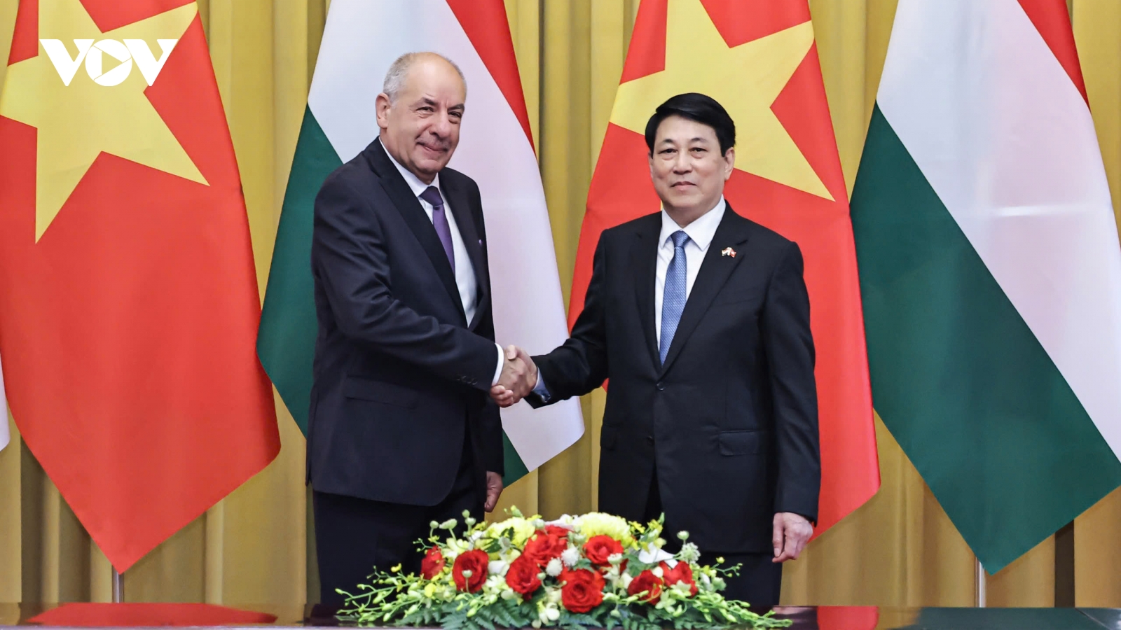 Chủ tịch nước Lương Cường hội đàm với Tổng thống Hungary Sulyok Tamás