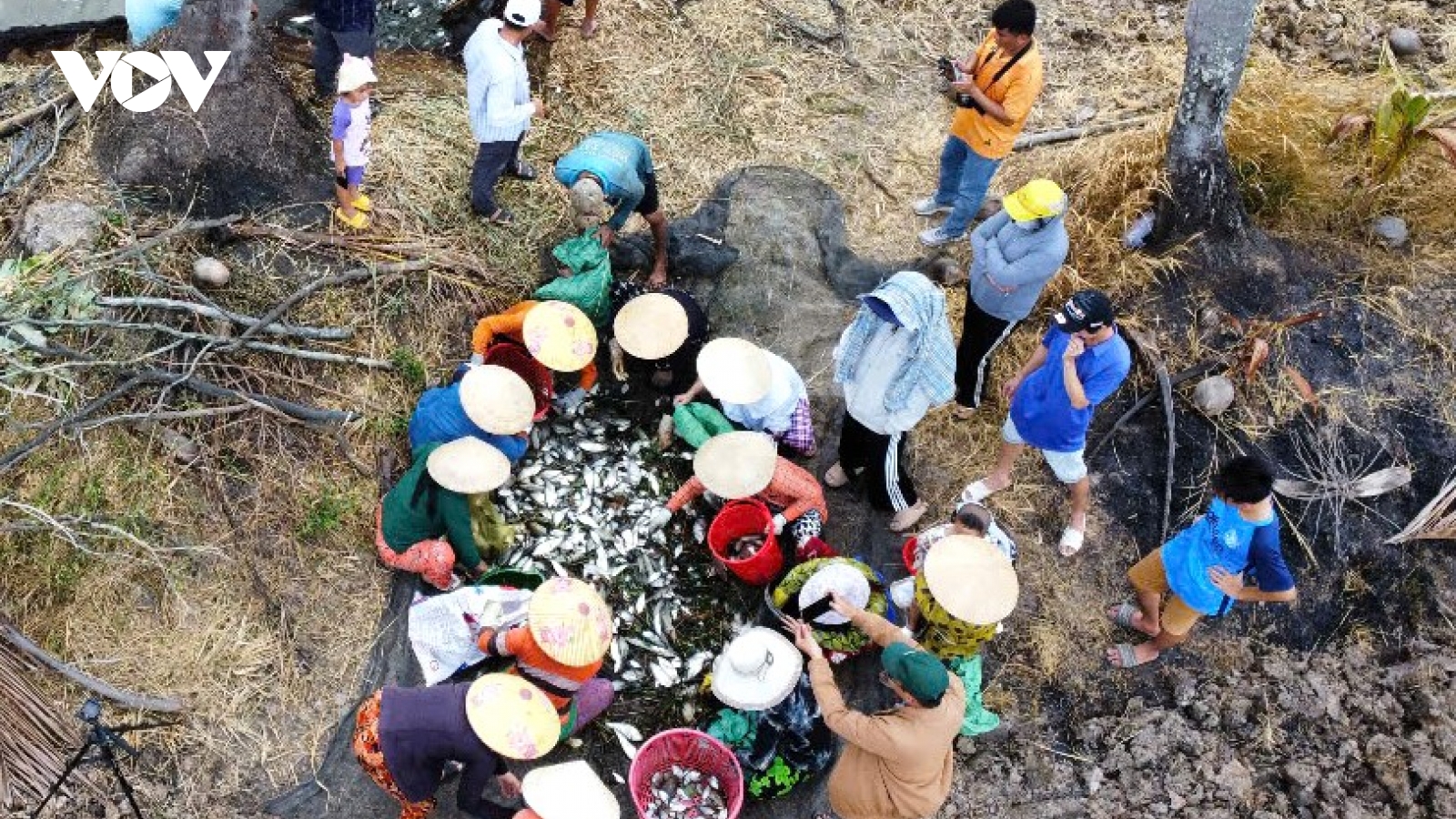 Cà Mau: Giữ “đạo bắt cá của ông bà” để khôi phục cá đồng