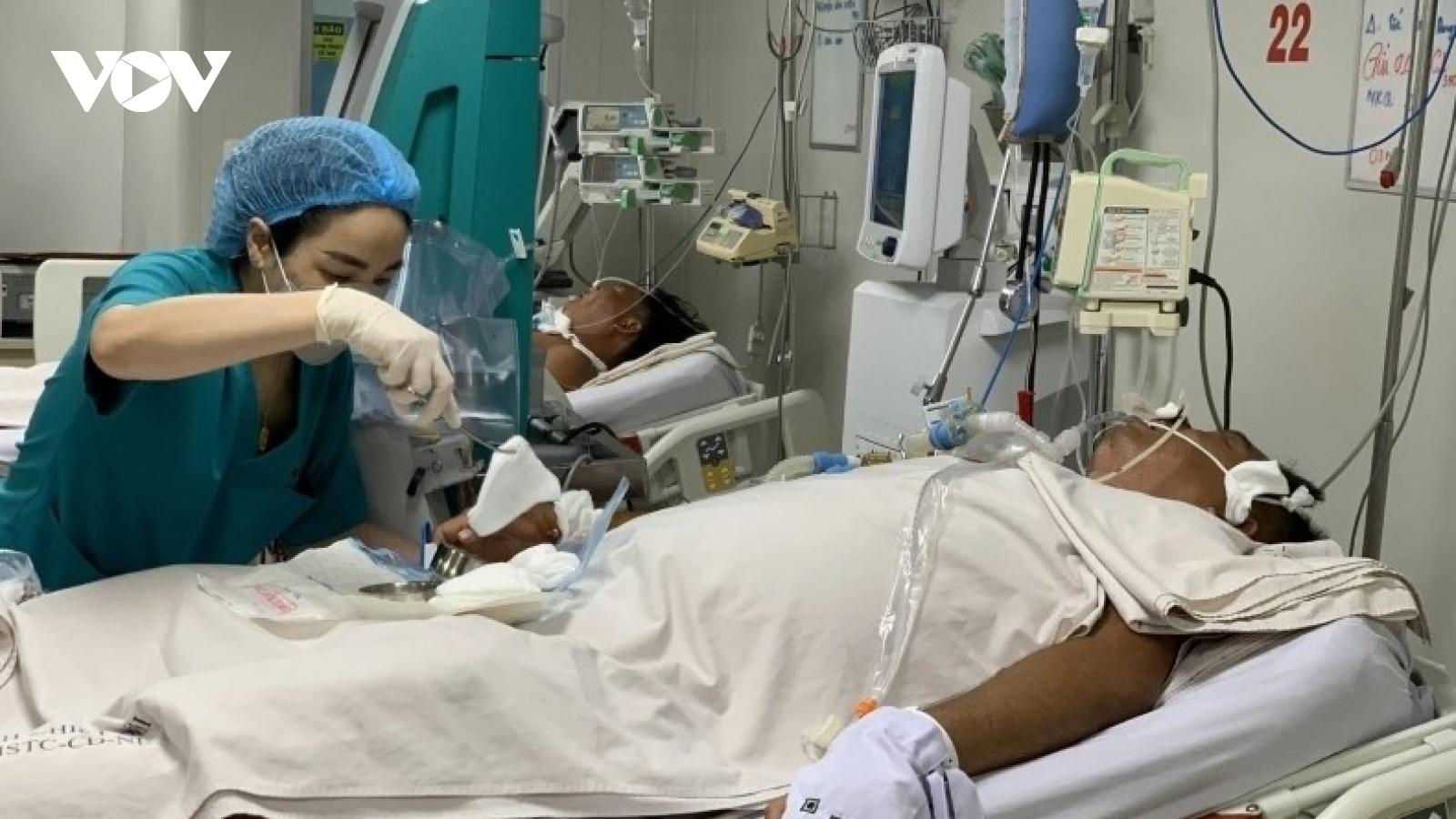 Sốt xuất huyết đang vào mùa, cần chủ động phòng bệnh