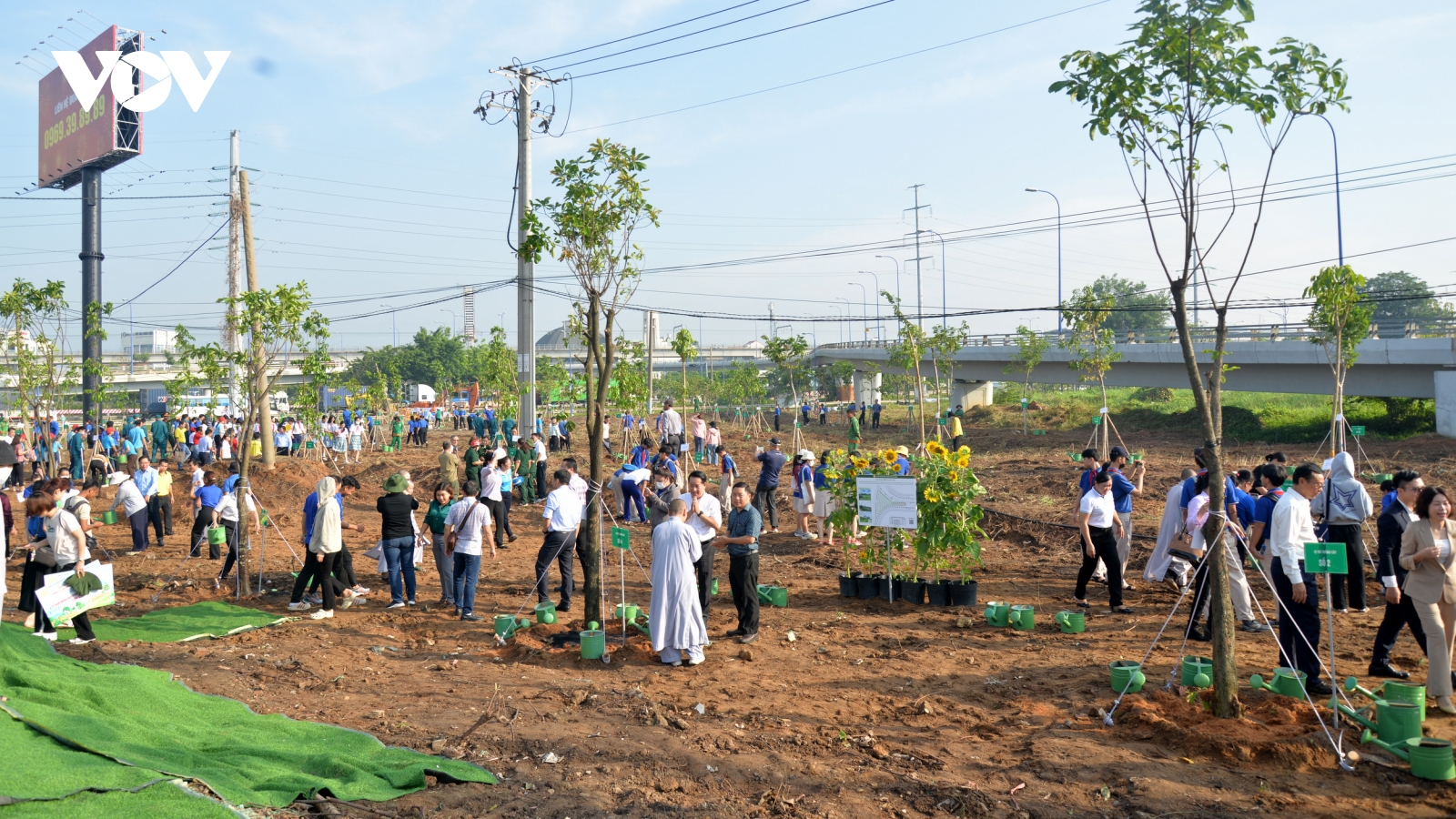 TP Thủ Đức đã trồng hơn 1 triệu cây xanh từ khi thành lập
