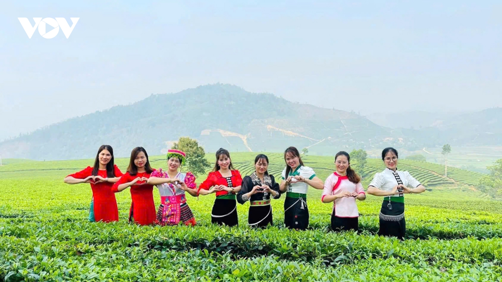 Những đồi chè xanh mát thu hút du khách đến Lai Châu