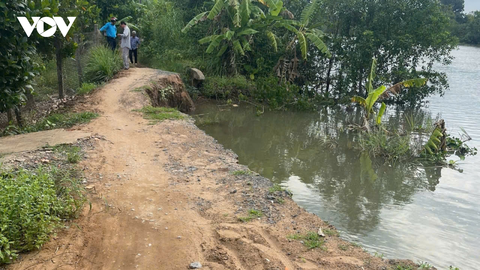 Hậu Giang lại xảy ra 2 vụ sụp đất, sạt lở bờ sông tại huyện Châu Thành