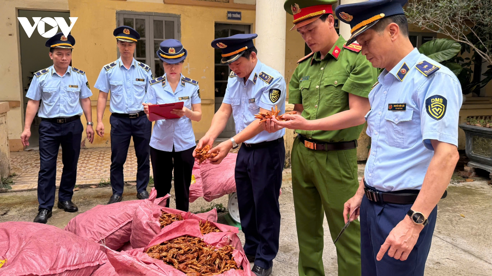 Phát hiện, ngăn chặn 1.500 kg chân gà không rõ nguồn gốc xuất xứ
